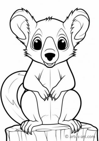 99 Sugar Glider Coloring Pages Printable 44