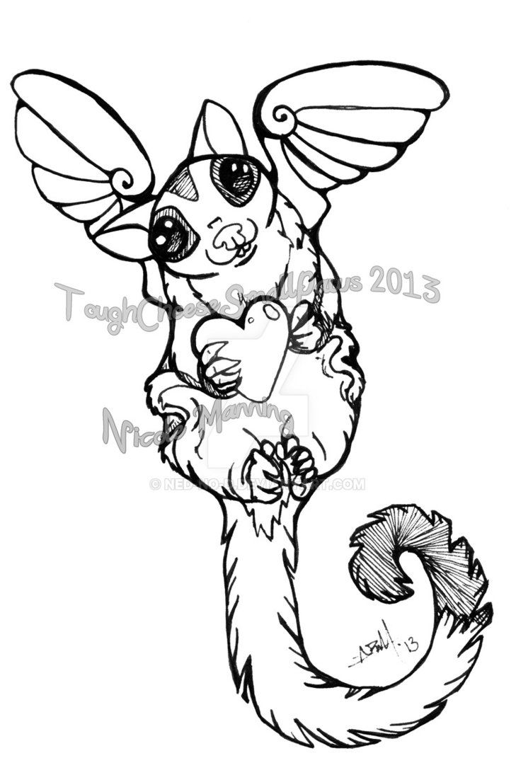 99 Sugar Glider Coloring Pages Printable 6