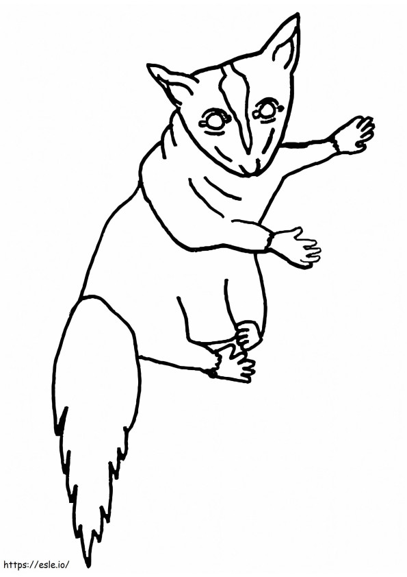 99 Sugar Glider Coloring Pages Printable 63