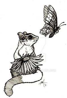 99 Sugar Glider Coloring Pages Printable 66