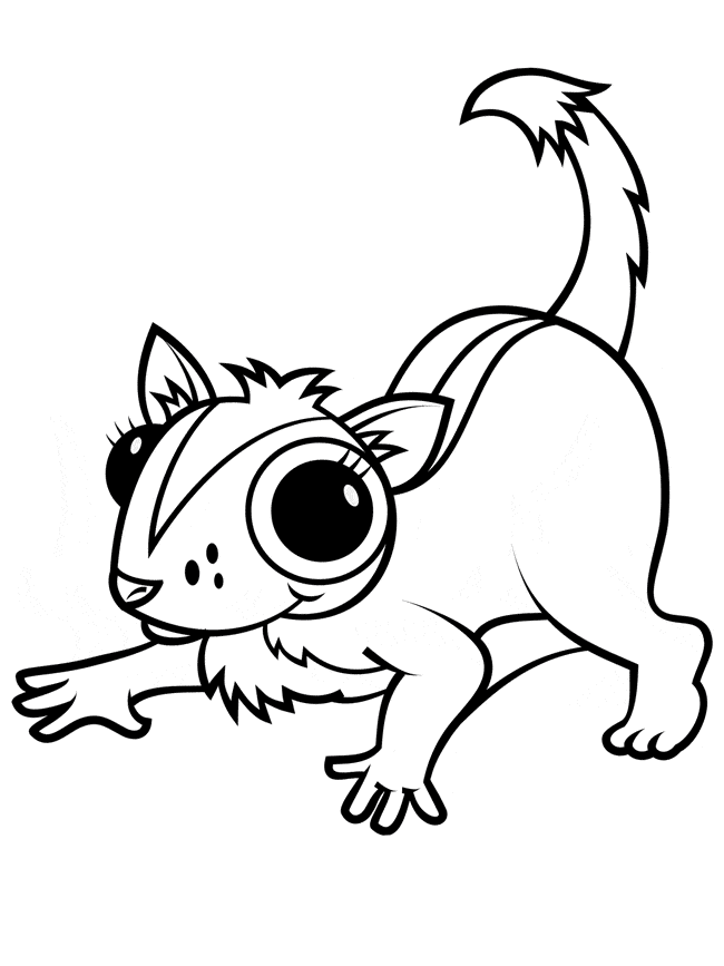 99 Sugar Glider Coloring Pages Printable 77