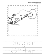 99 Sugar Glider Coloring Pages Printable 89