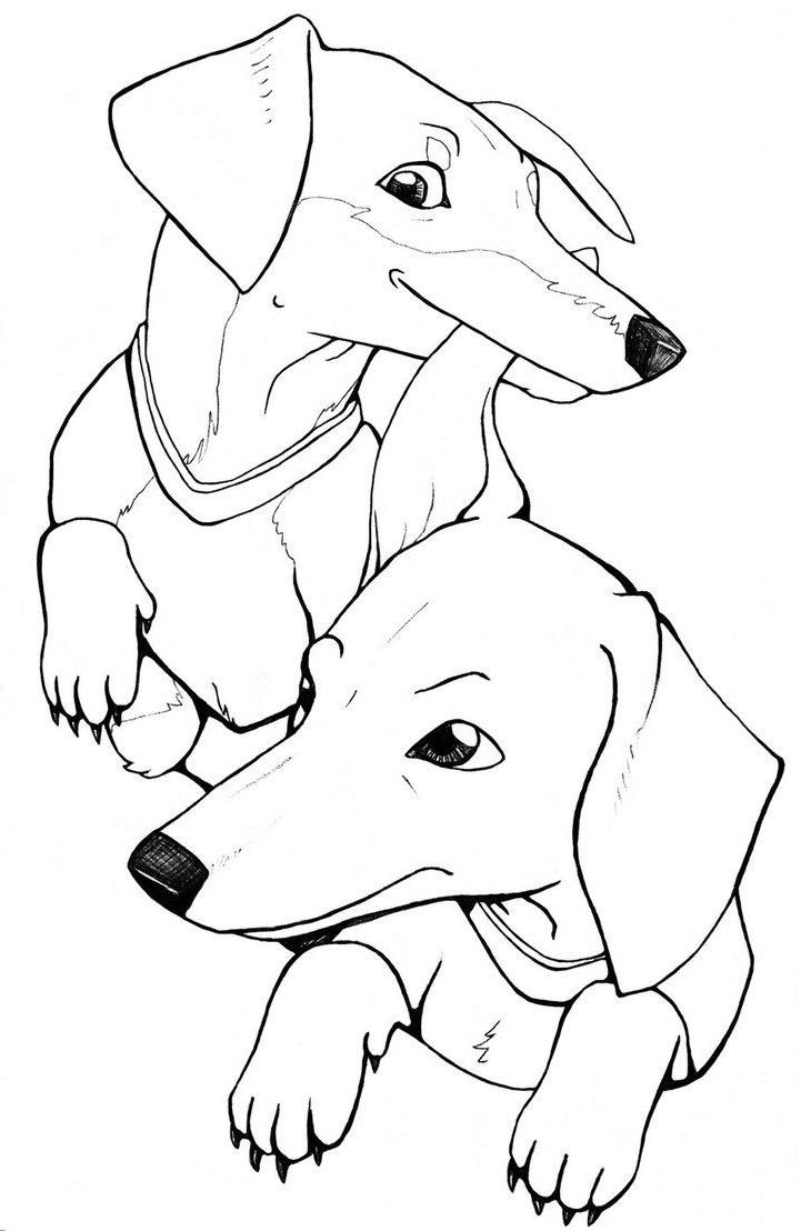 30 Dachshund Coloring Pages Printable 1