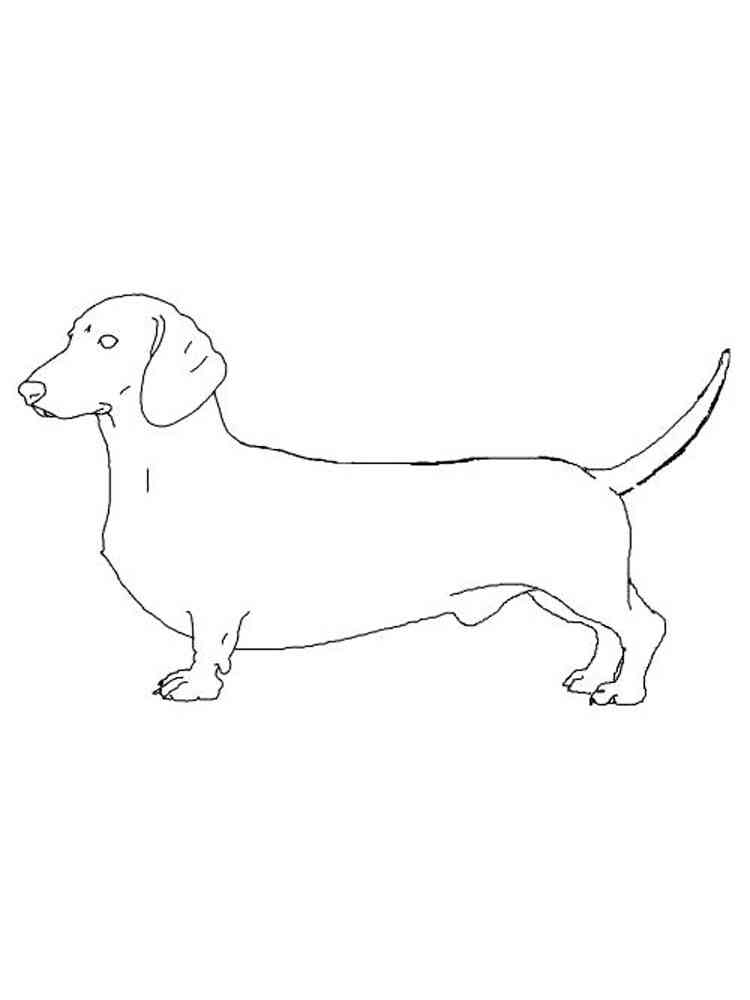 30 Dachshund Coloring Pages Printable 15