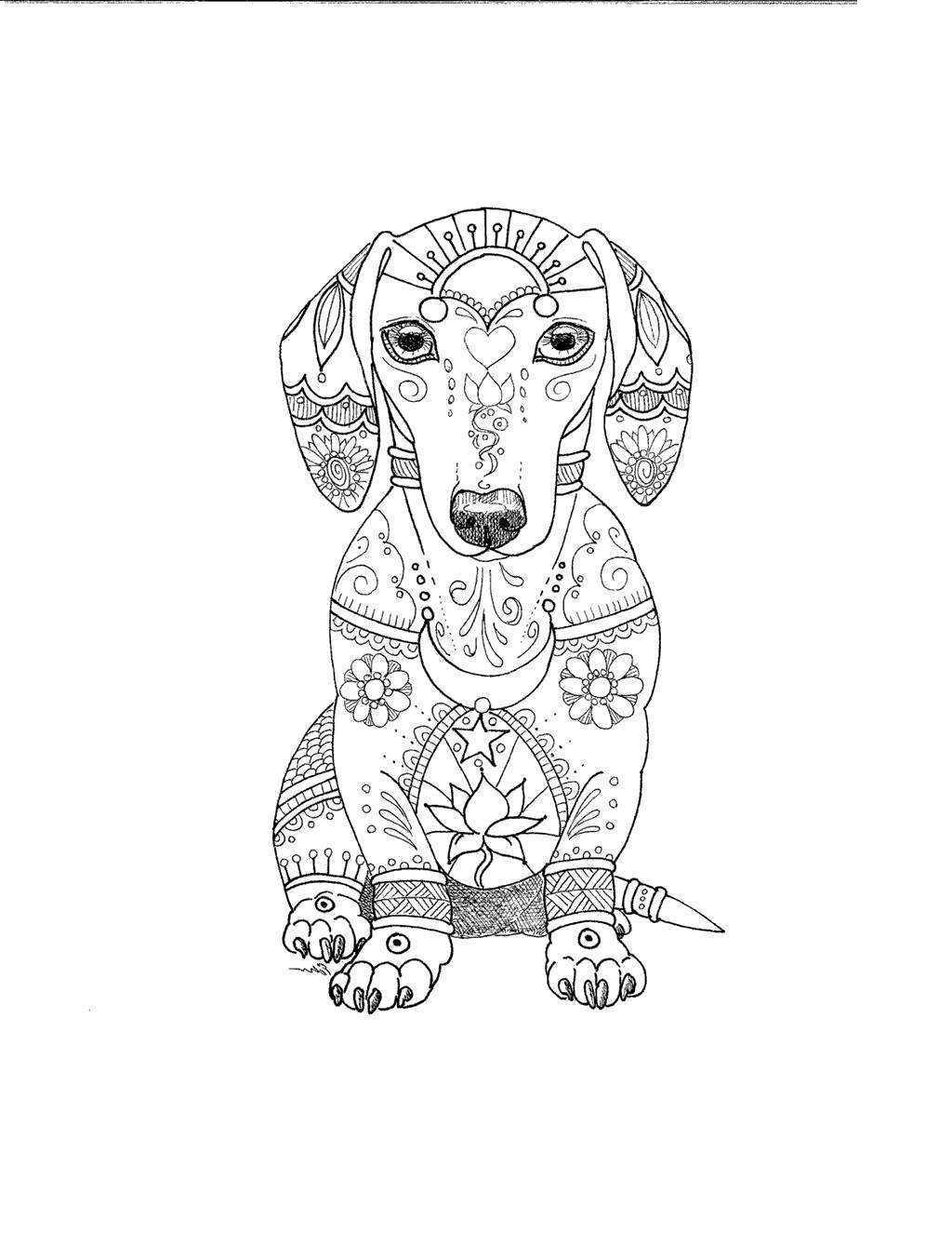 30 Dachshund Coloring Pages Printable 18