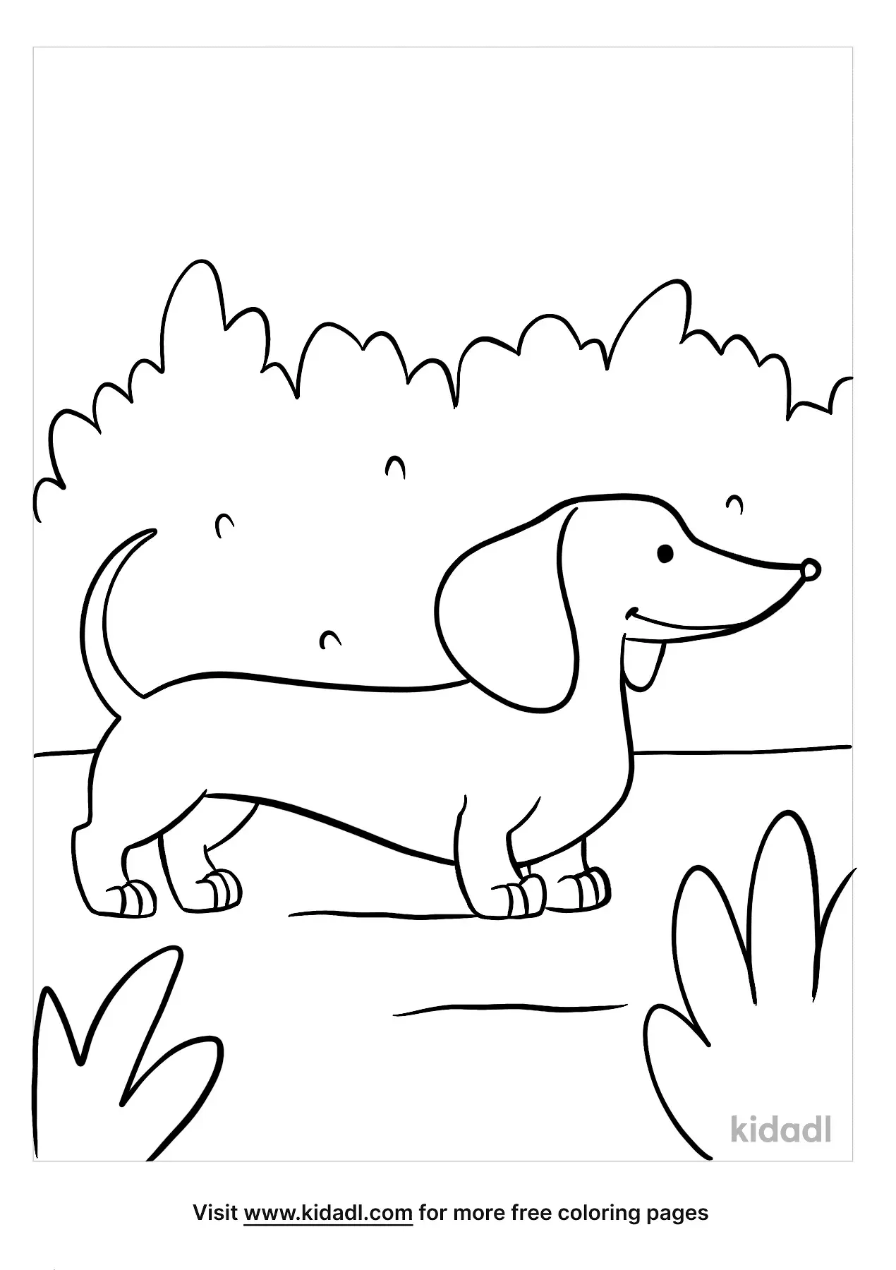 30 Dachshund Coloring Pages Printable 20