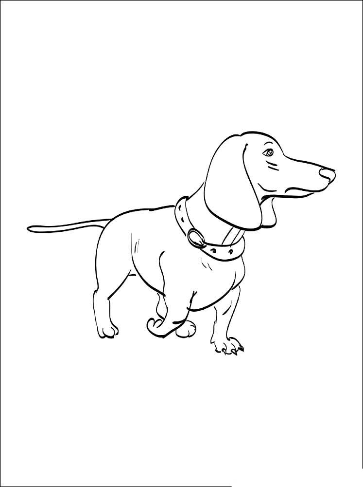 30 Dachshund Coloring Pages Printable 25