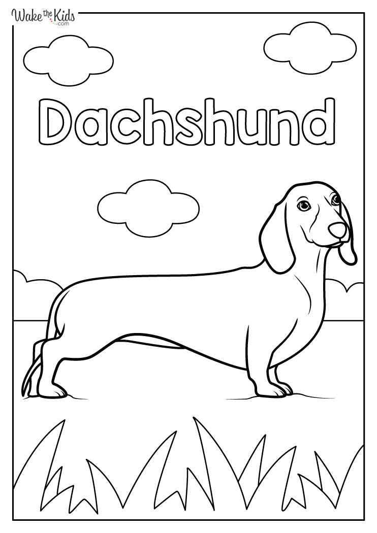 30 Dachshund Coloring Pages Printable 29