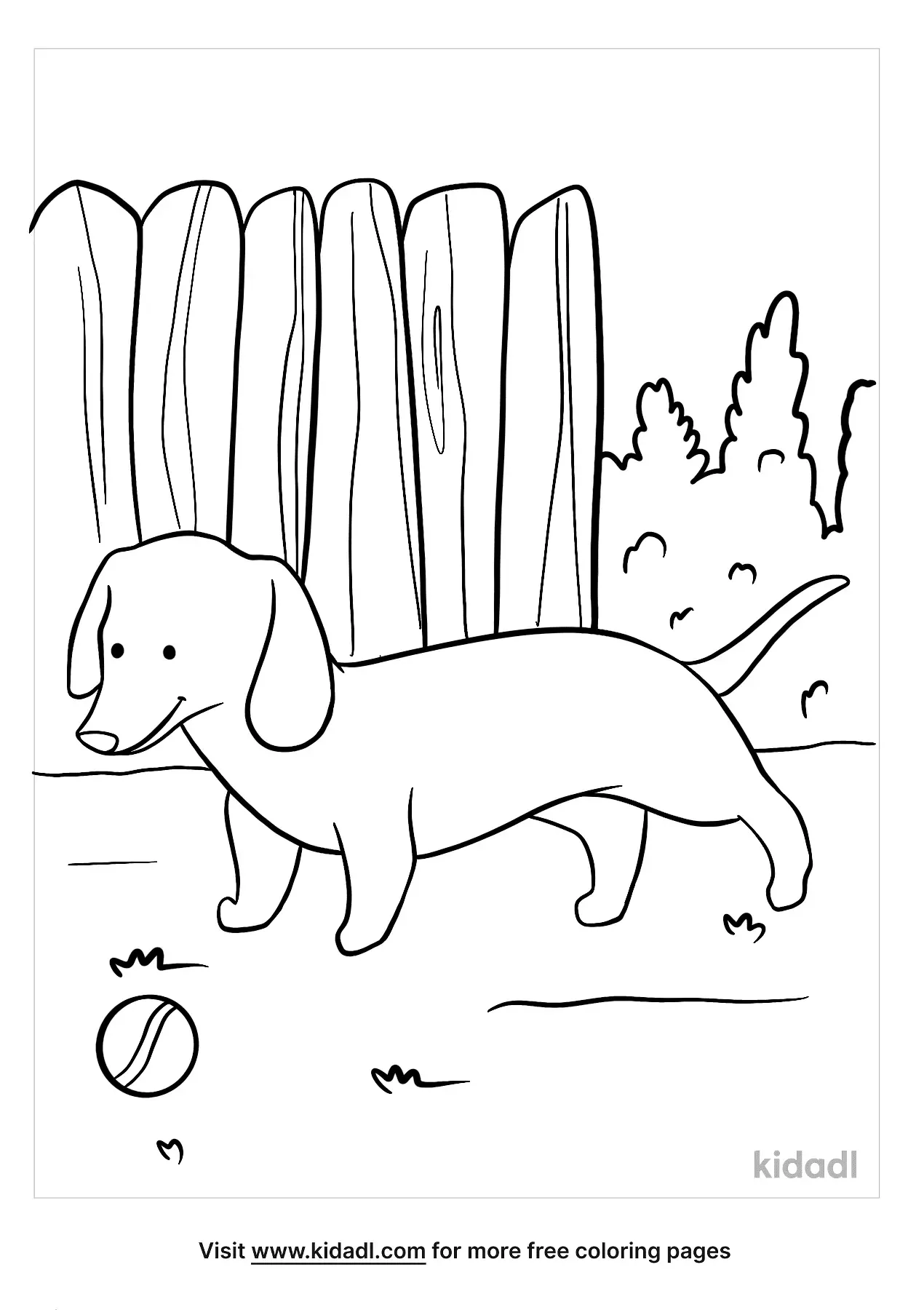 30 Dachshund Coloring Pages Printable 3