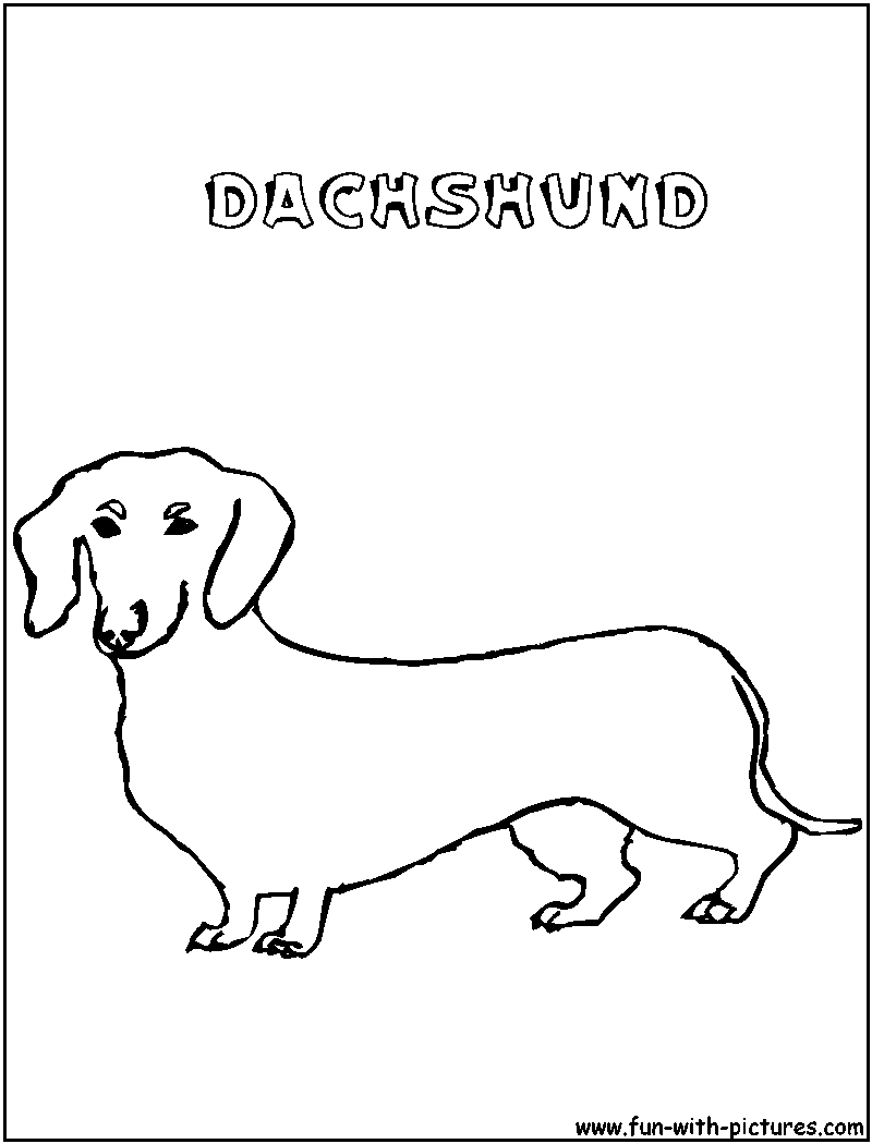 30 Dachshund Coloring Pages Printable 31