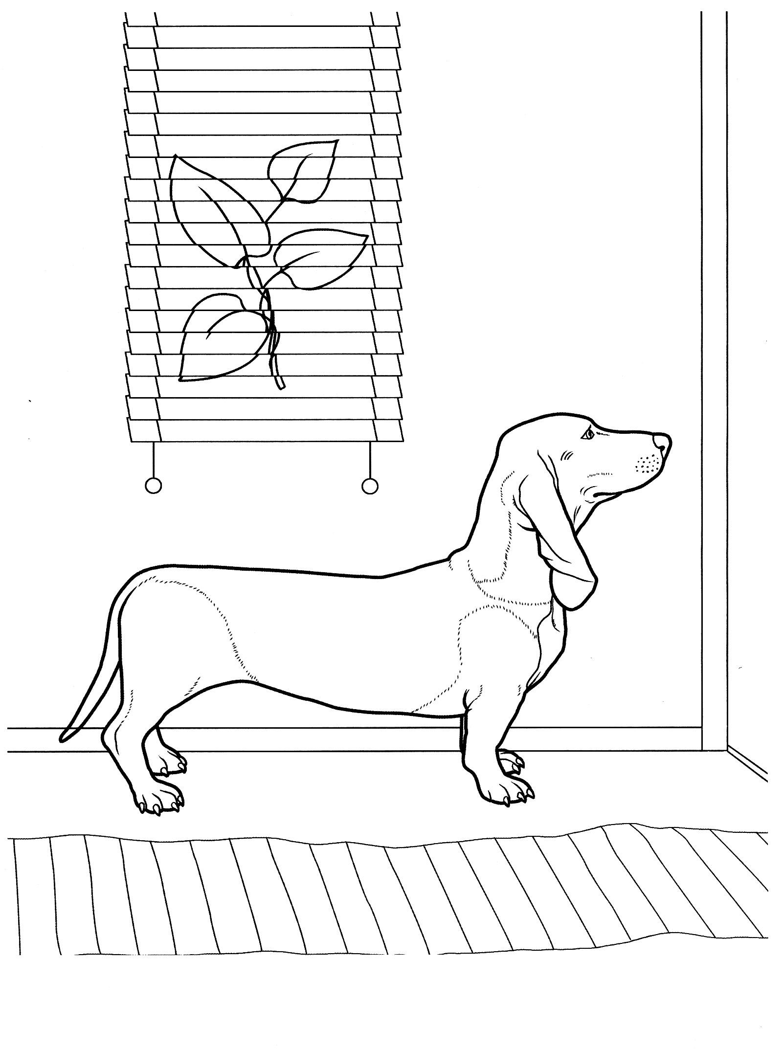 30 Dachshund Coloring Pages Printable 32