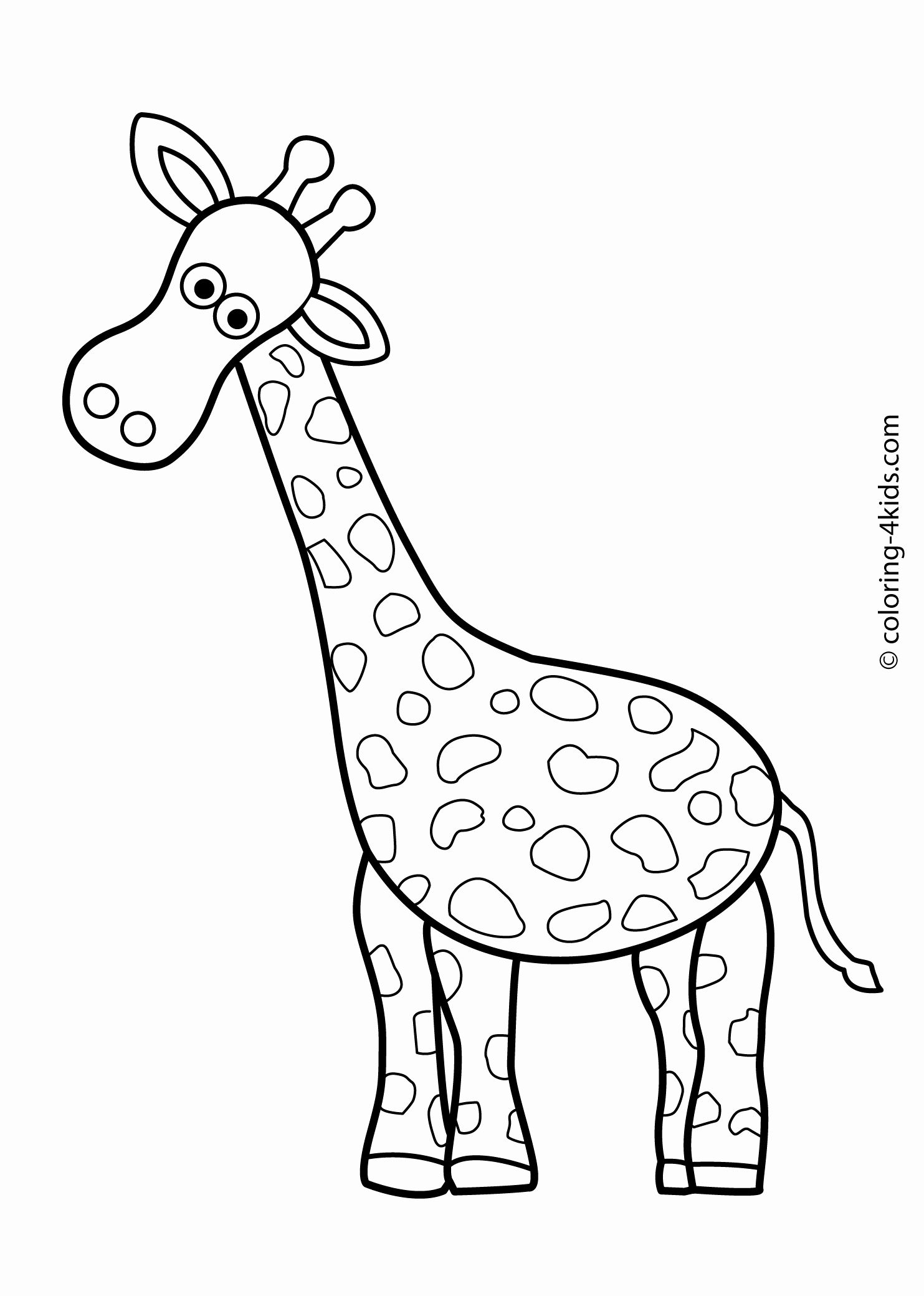 30 Grassland Animals Coloring Pages Printable 10