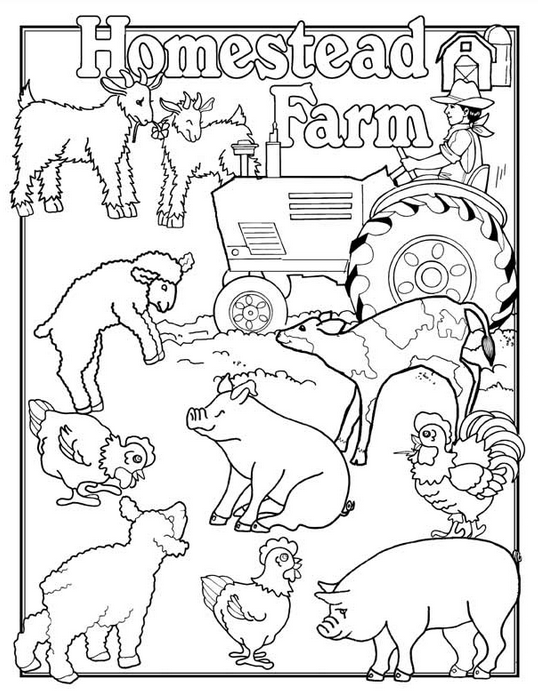 30 Grassland Animals Coloring Pages Printable 12