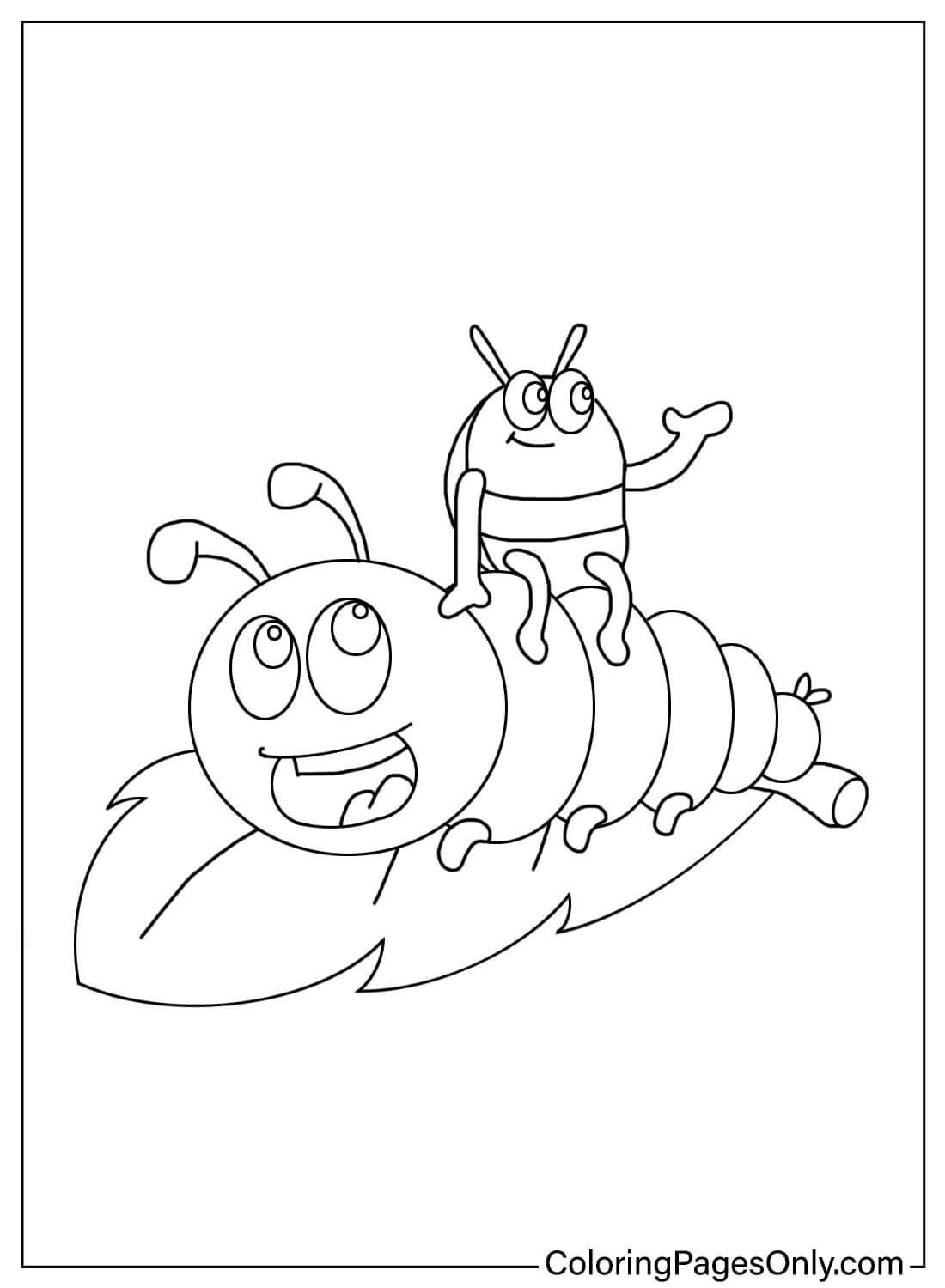 30 Grassland Animals Coloring Pages Printable 13