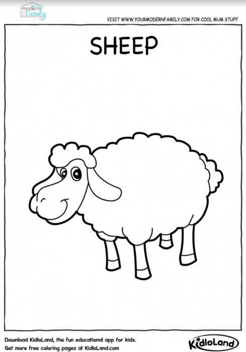 30 Grassland Animals Coloring Pages Printable 16