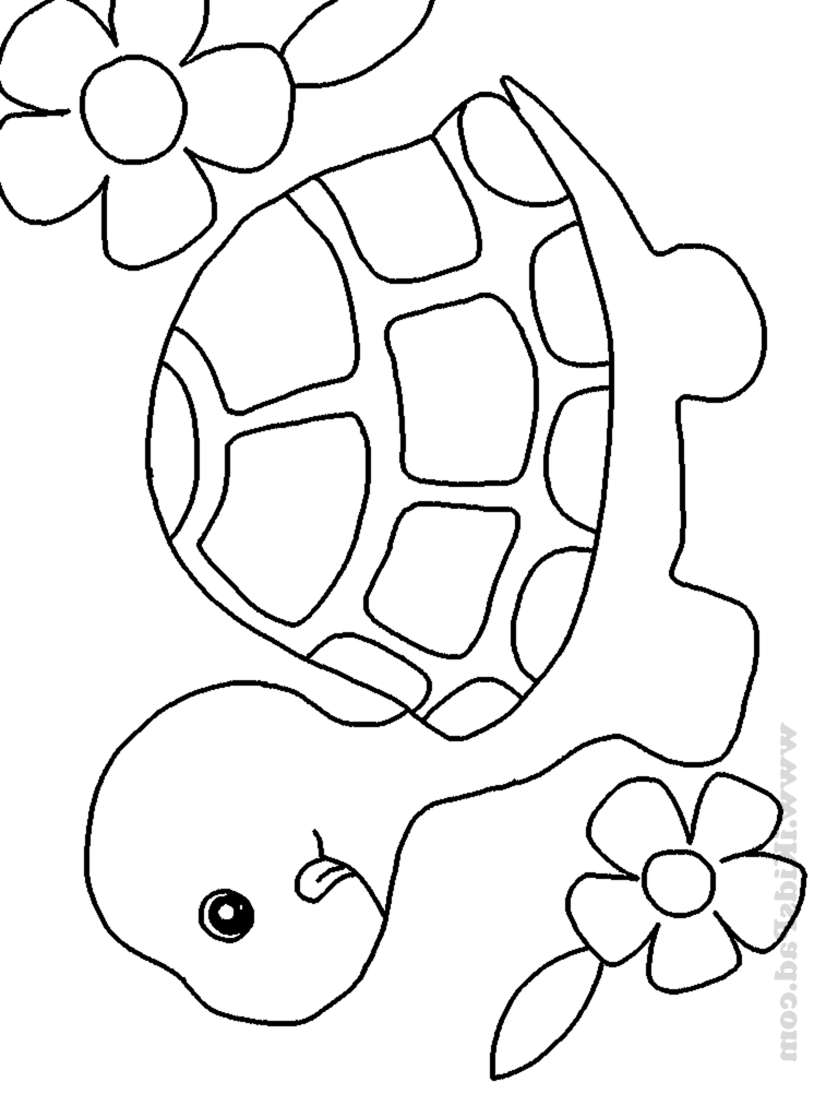 30 Grassland Animals Coloring Pages Printable 18