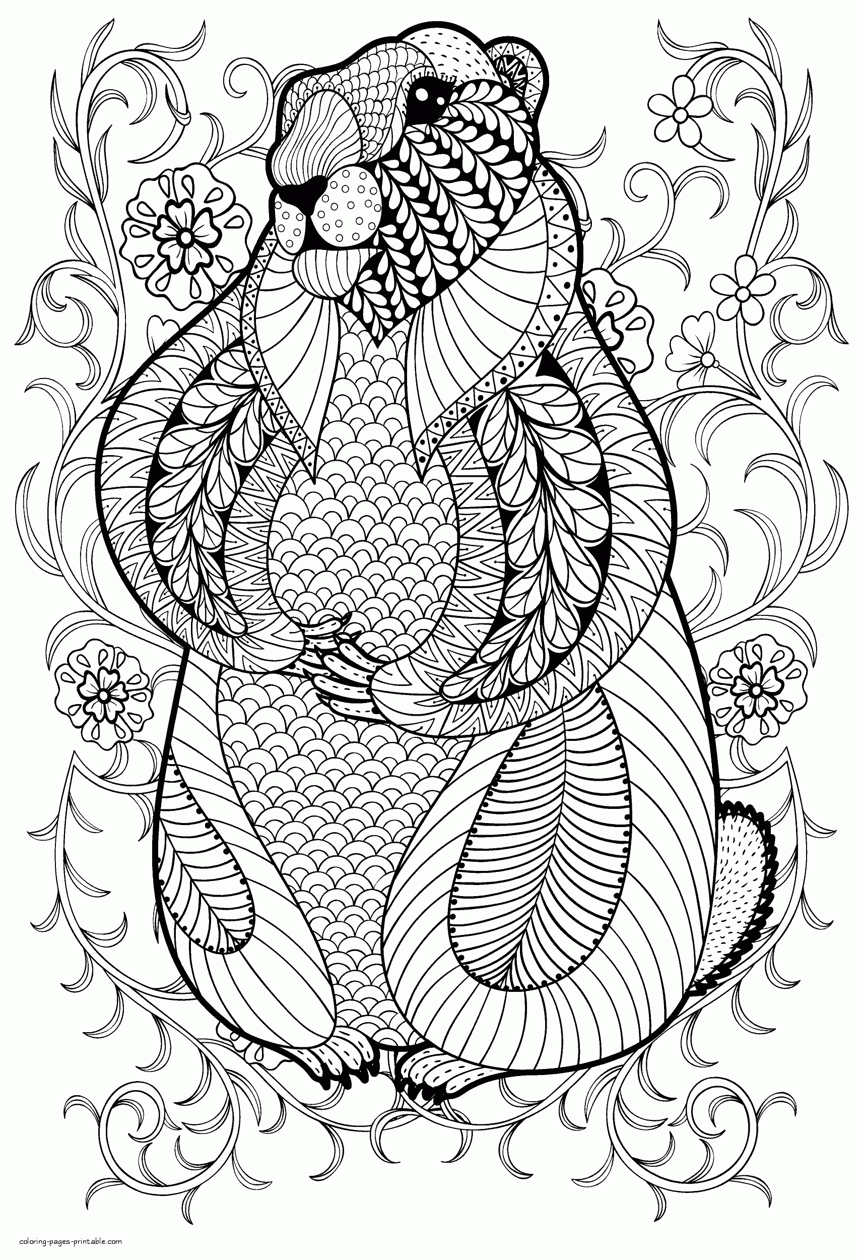 30 Grassland Animals Coloring Pages Printable 22