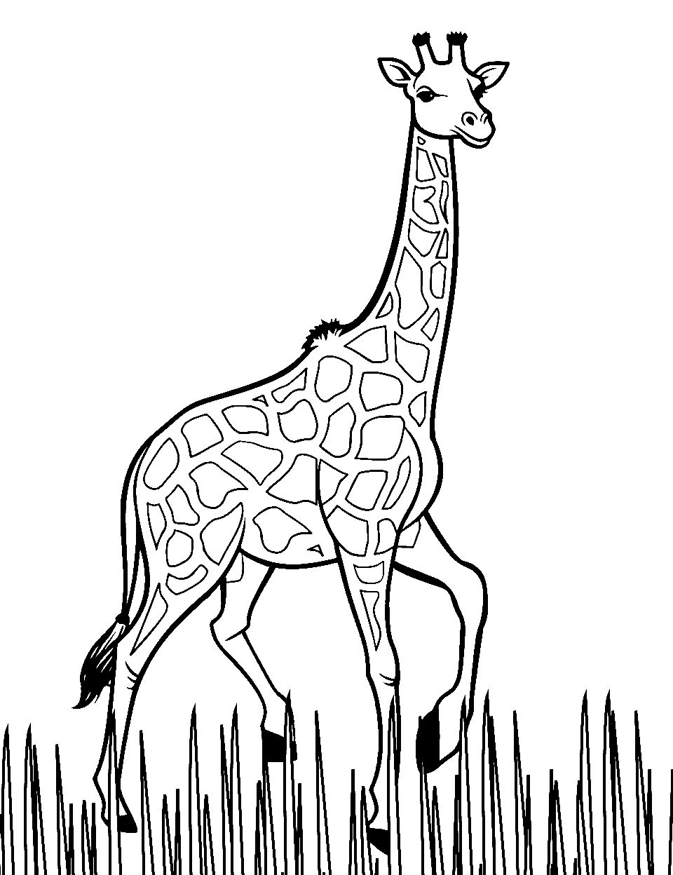 30 Grassland Animals Coloring Pages Printable 25