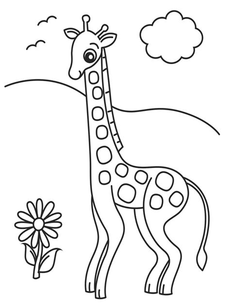 30 Grassland Animals Coloring Pages Printable 4