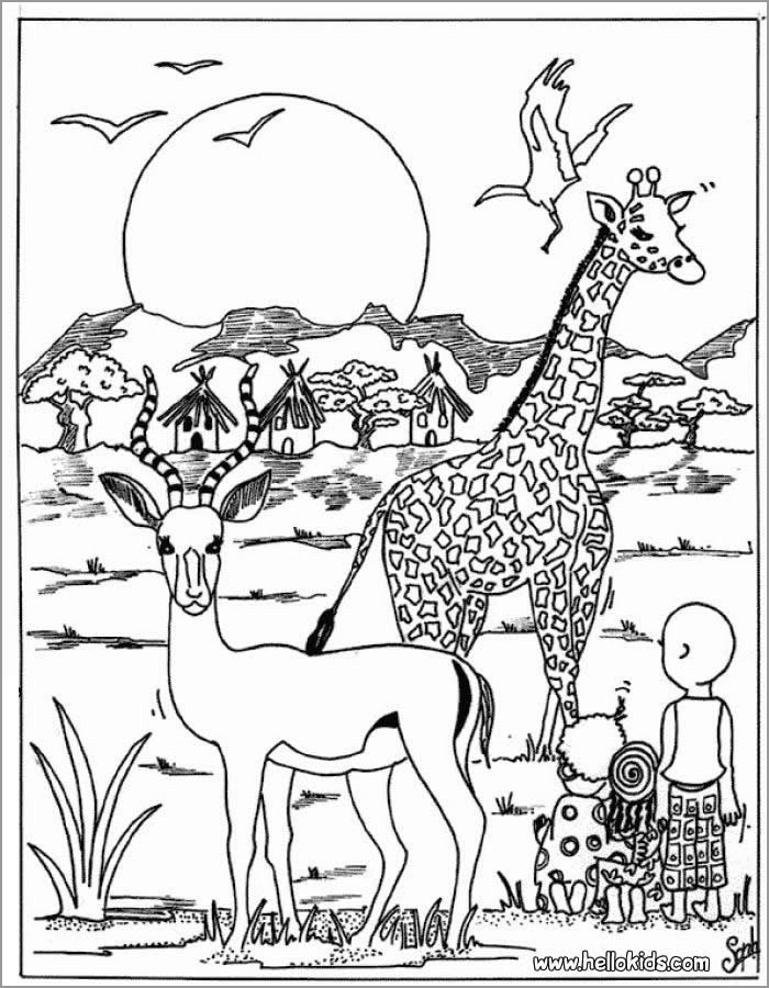 30 Grassland Animals Coloring Pages Printable 6