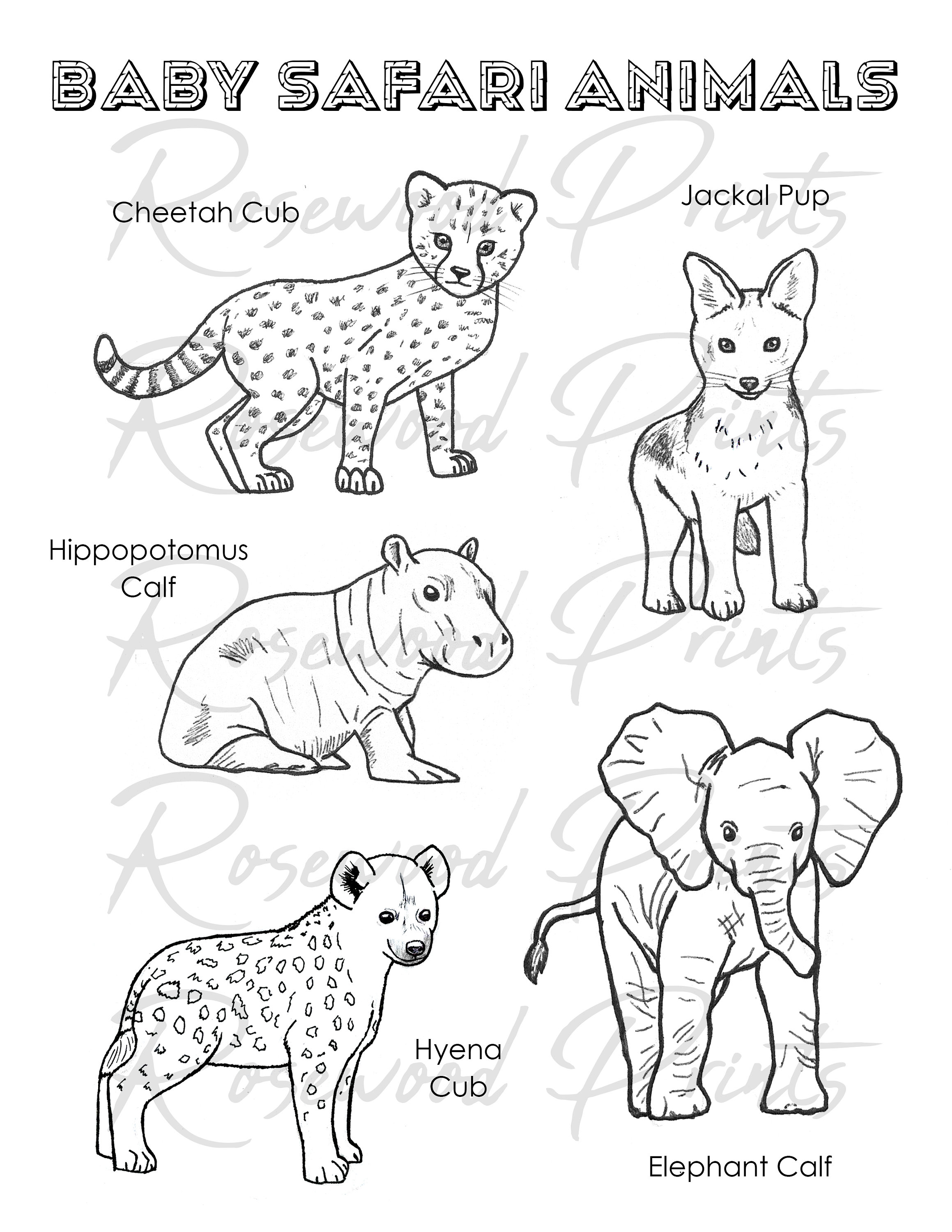 30 Grassland Animals Coloring Pages Printable 8