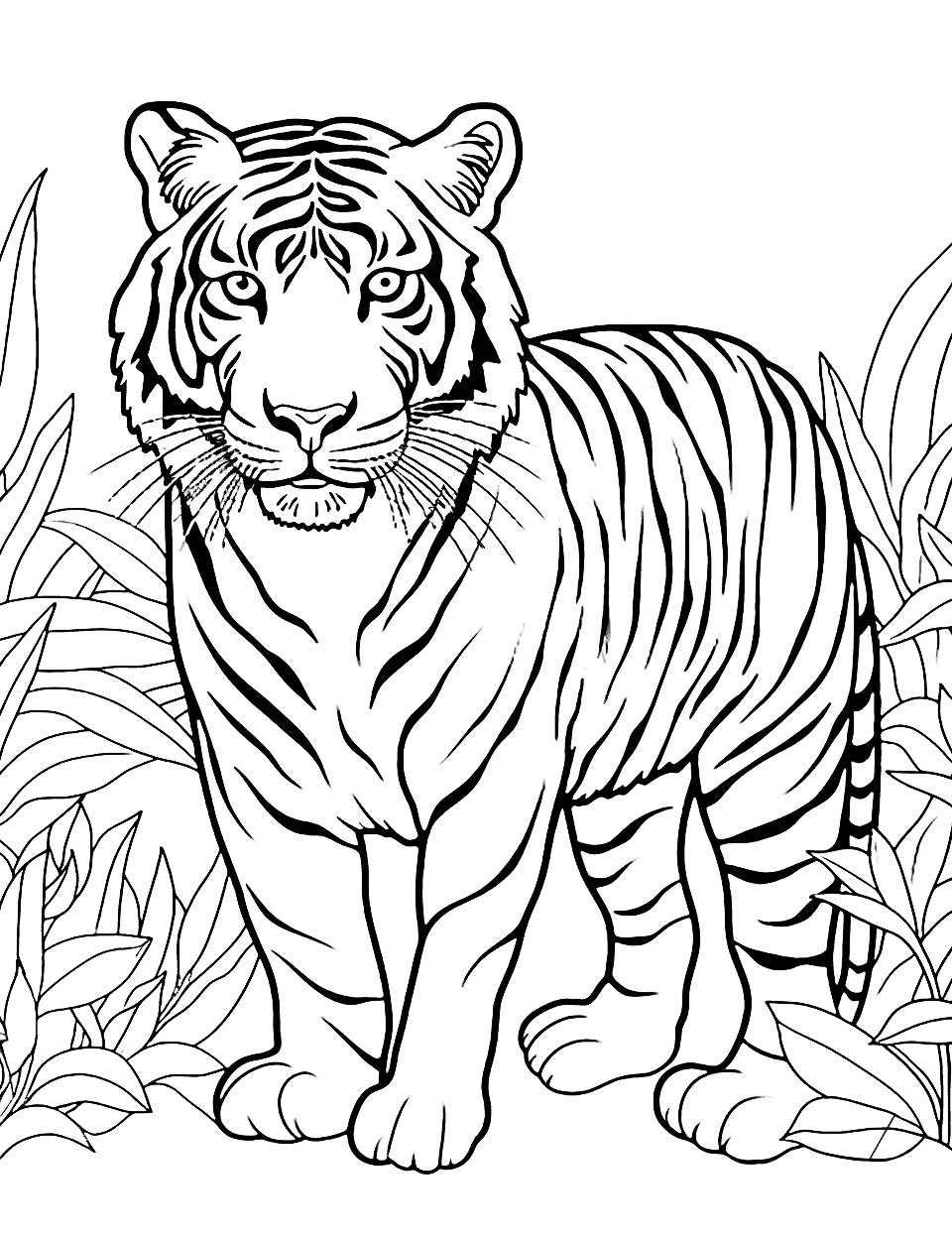 30 Grassland Animals Coloring Pages Printable 9