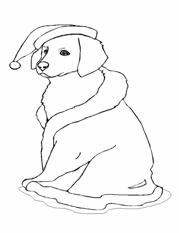 31 Christmas Dog Coloring Pages Printable Fun 26