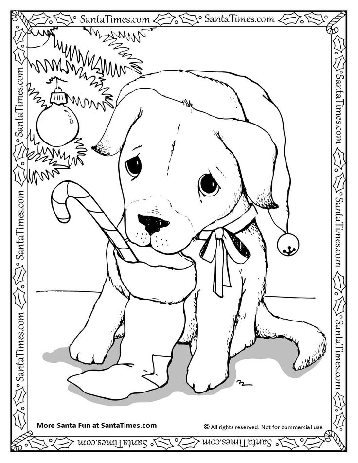 31 Christmas Dog Coloring Pages Printable Fun 31