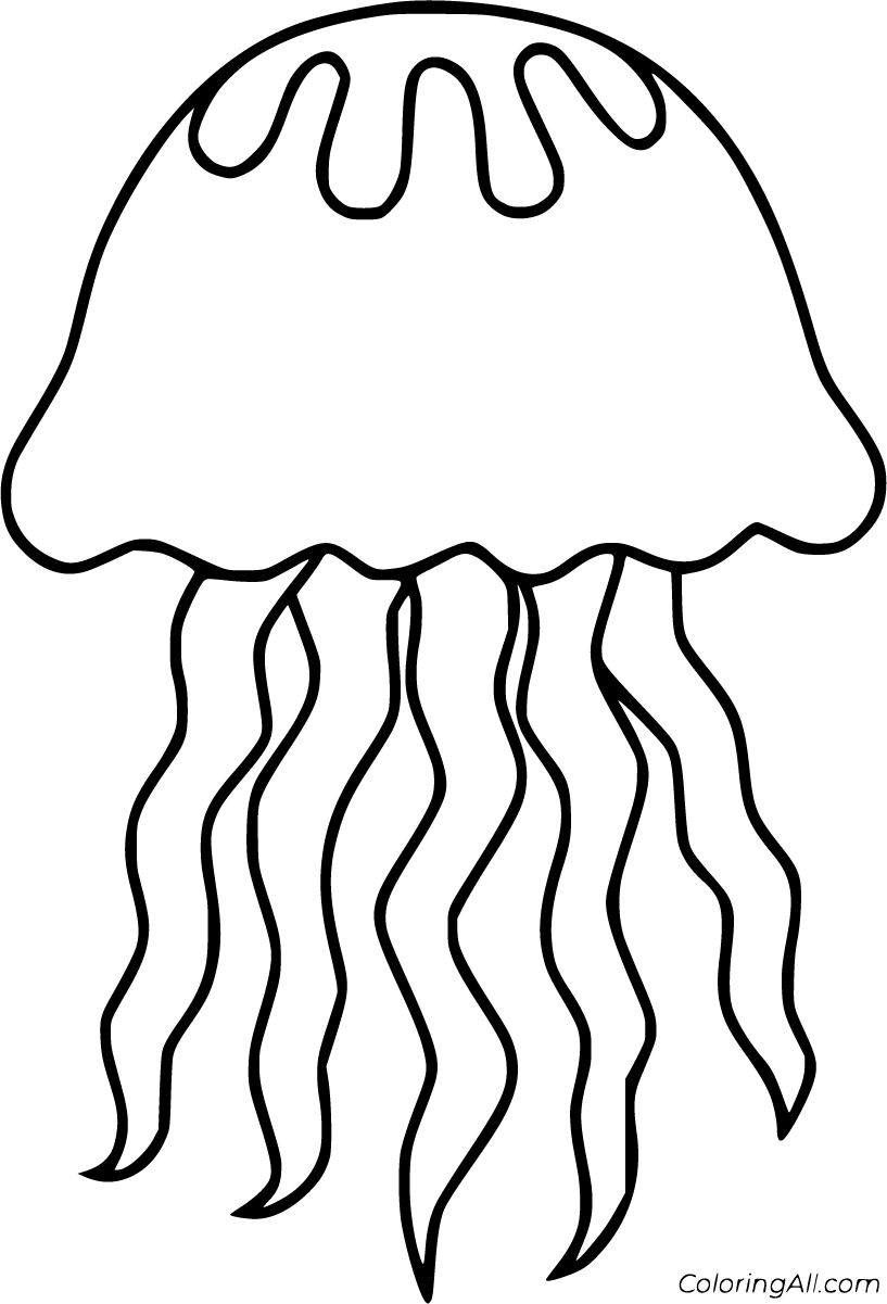 31 Jellyfish Coloring Pages Free Printable 1