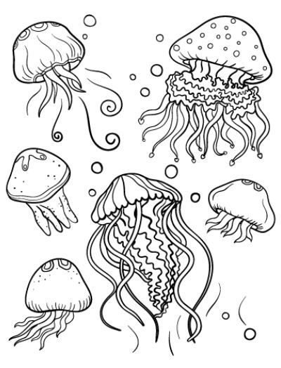 31 Jellyfish Coloring Pages Free Printable 12