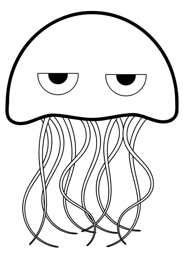 31 Jellyfish Coloring Pages Free Printable 14