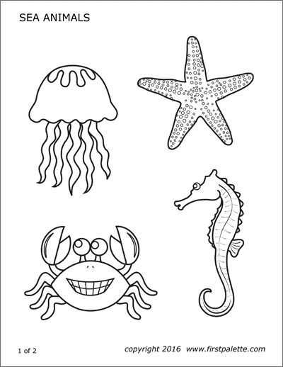 31 Jellyfish Coloring Pages Free Printable 19