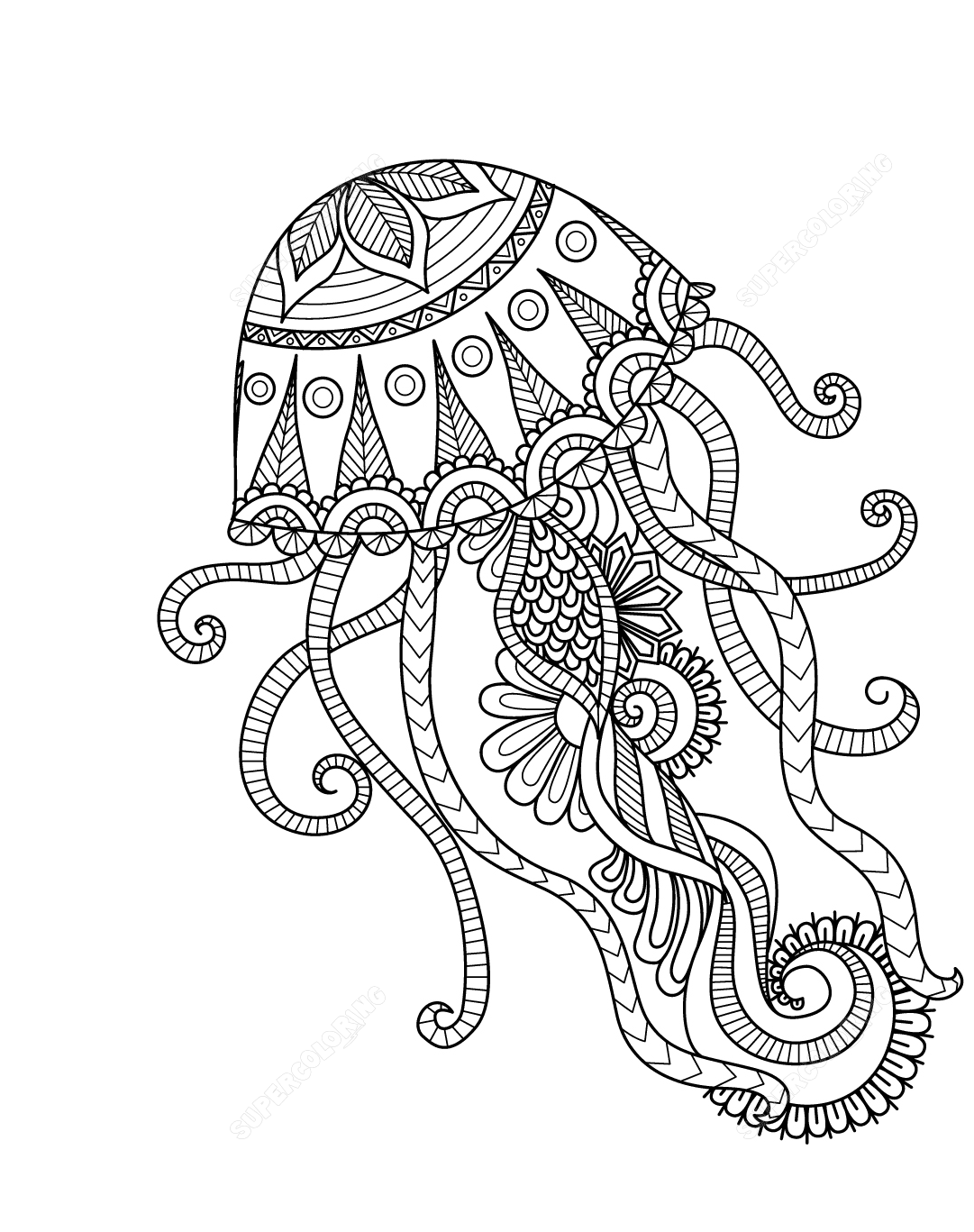 31 Jellyfish Coloring Pages Free Printable 28