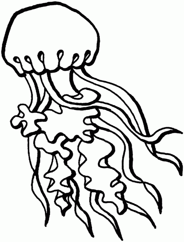 31 Jellyfish Coloring Pages Free Printable 31