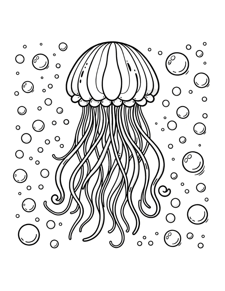 31 Jellyfish Coloring Pages Free Printable 4