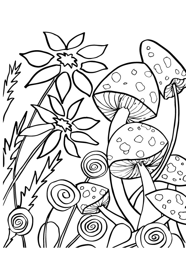 32 Creative Mushroom Coloring Pages to Print Printable 1