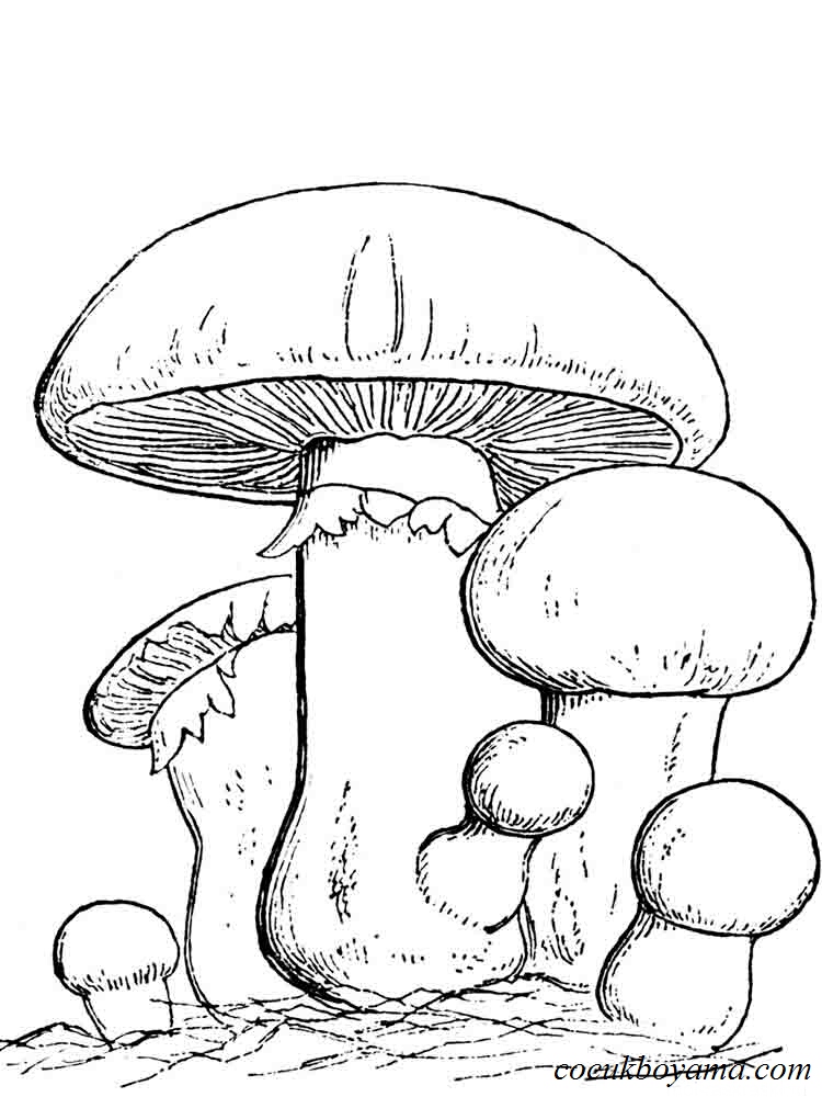 32 Creative Mushroom Coloring Pages to Print Printable 10