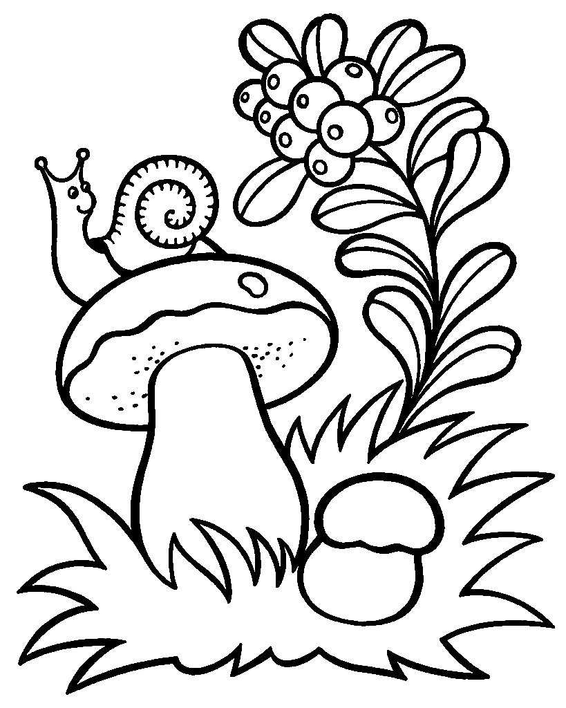 32 Creative Mushroom Coloring Pages to Print Printable 14