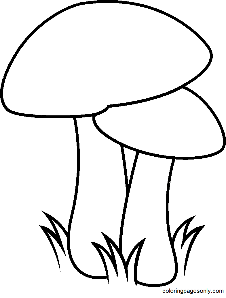 32 Creative Mushroom Coloring Pages to Print Printable 17