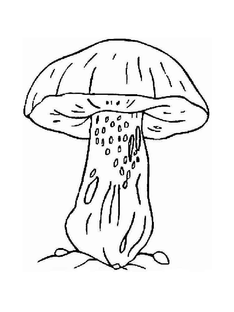 32 Creative Mushroom Coloring Pages to Print Printable 23