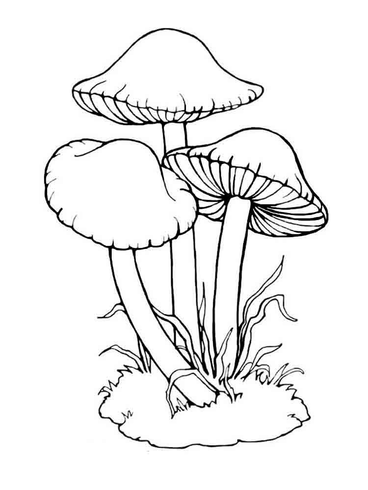 32 Creative Mushroom Coloring Pages to Print Printable 3