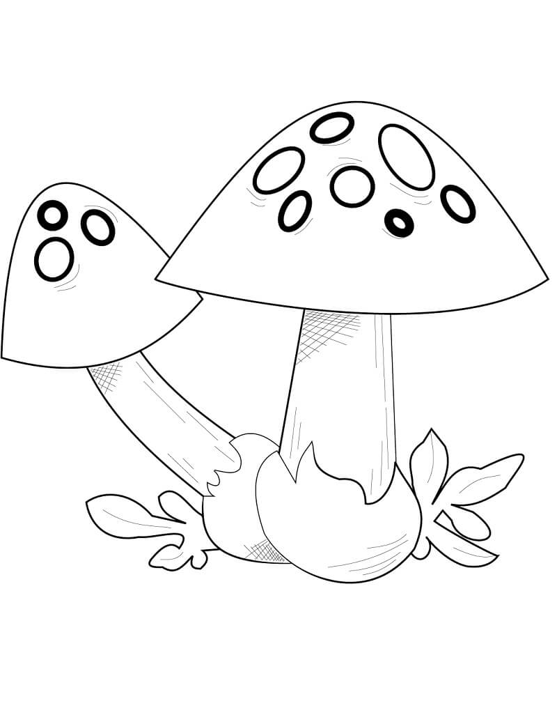 32 Creative Mushroom Coloring Pages to Print Printable 34