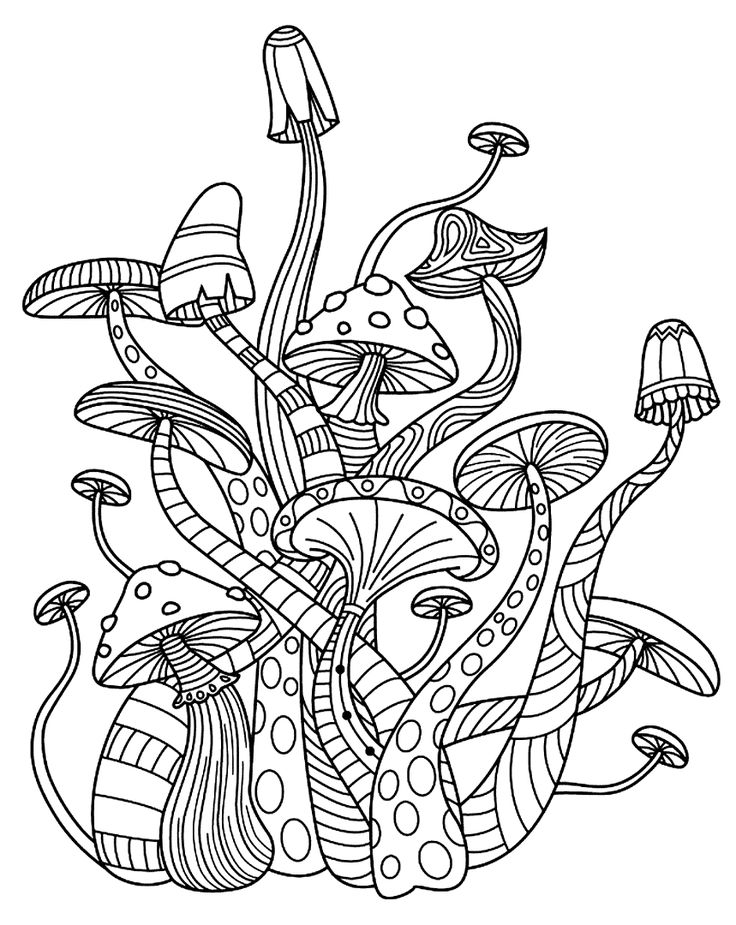 32 Creative Mushroom Coloring Pages to Print Printable 8