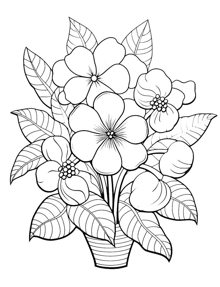 35 House with Flowers Coloring Pages Printable 15