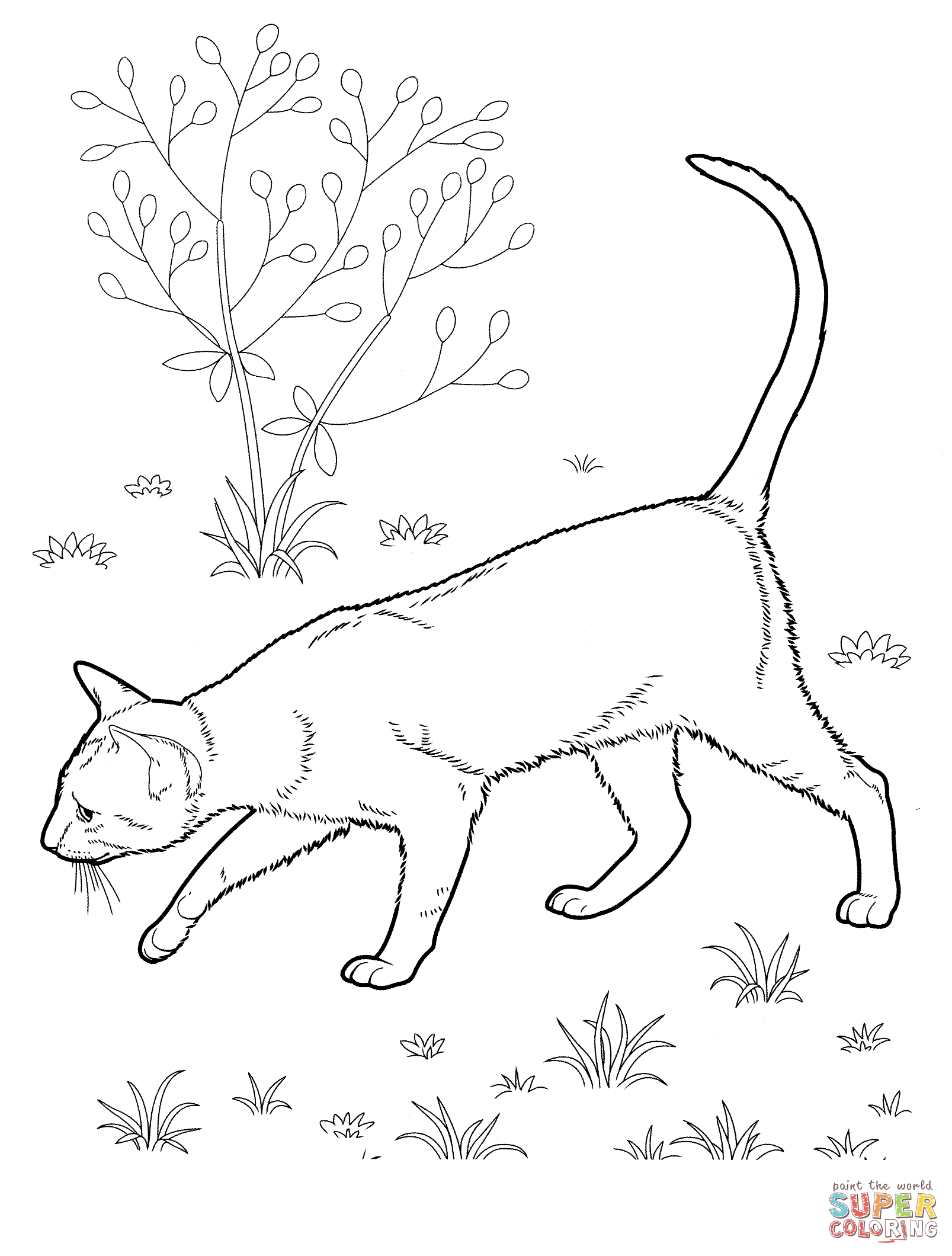 11+ Realistic Cat Coloring Pages Printable