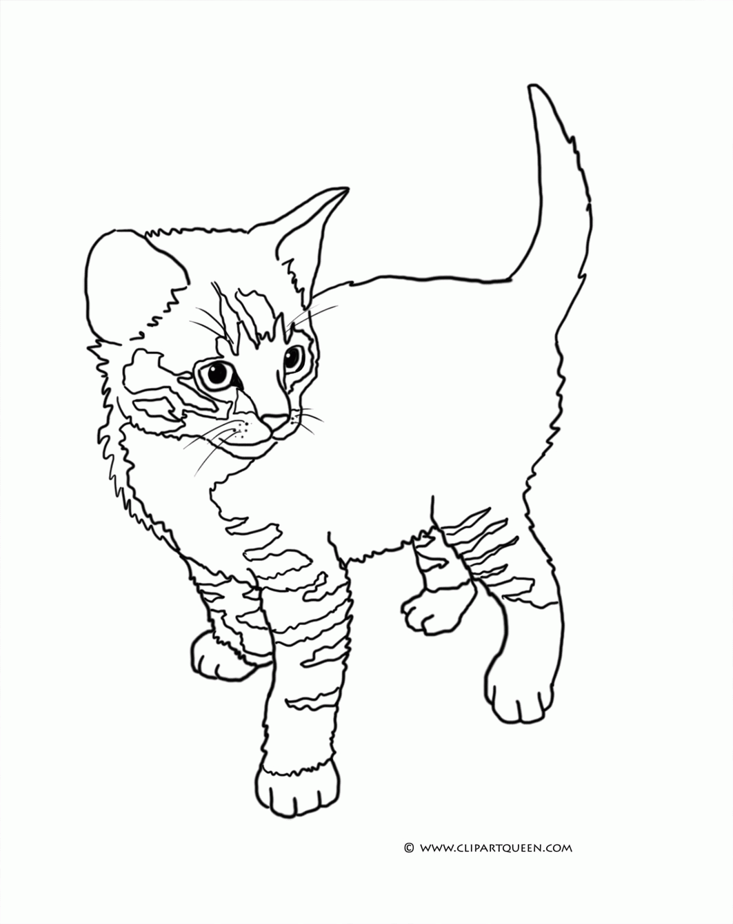 17+ Happy Cat Coloring Pages Printable