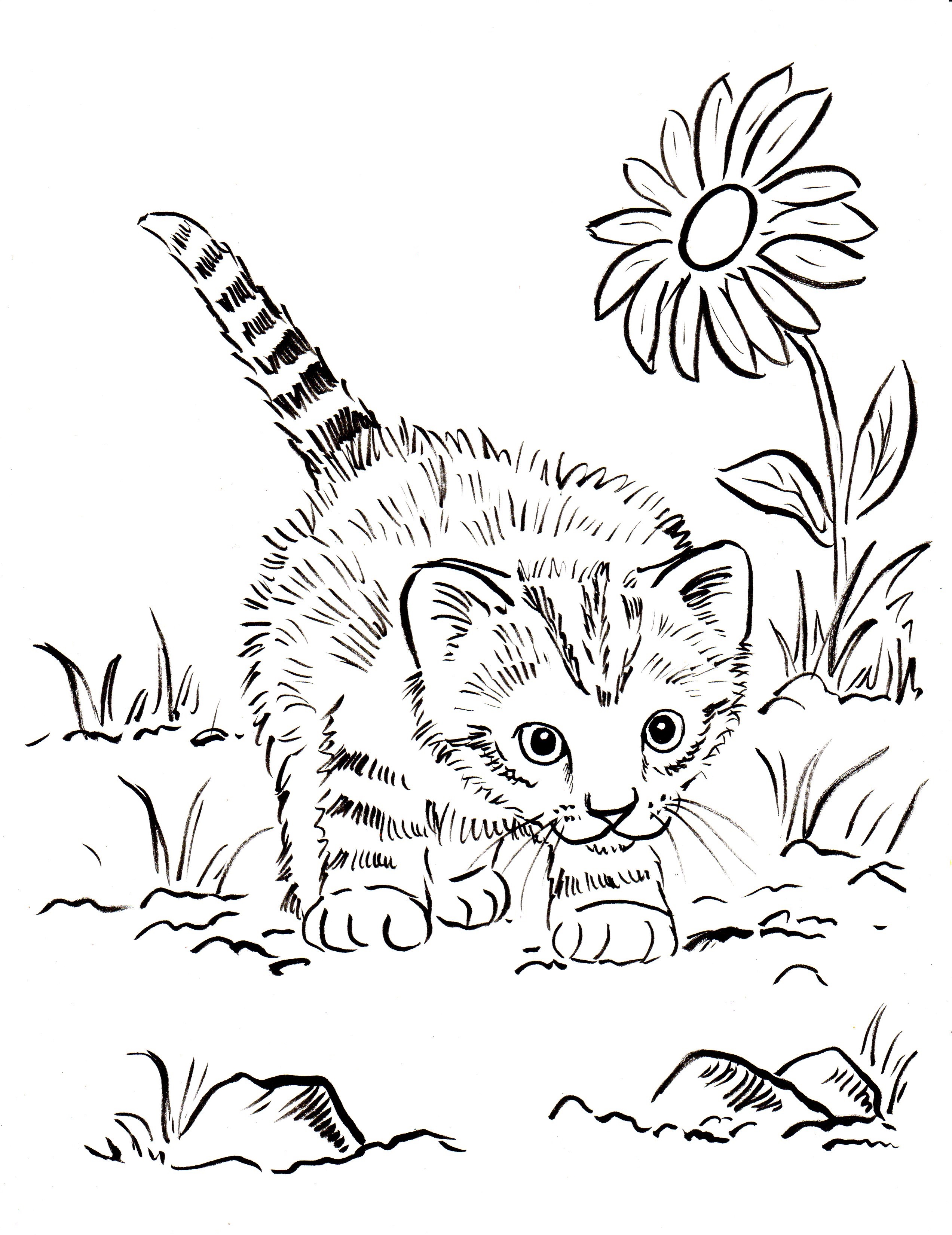 31+ Inspiring Cat Coloring Pages Printable