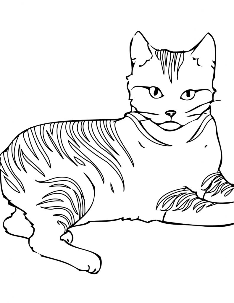 42+ Cheerful Cat Coloring Pages Printable