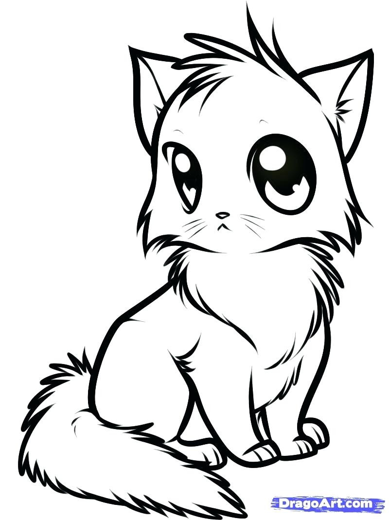 44+ Interactive Cat Coloring Pages Printable