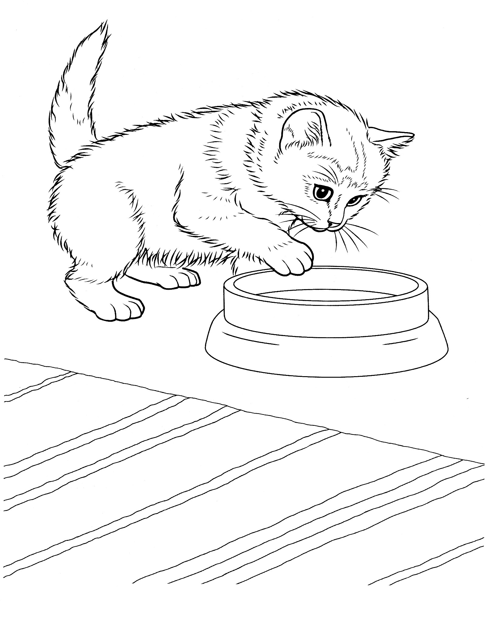 47+ Amazing Cat Coloring Pages Printable